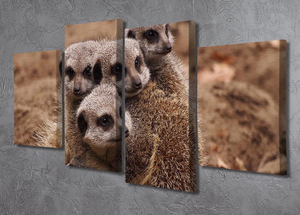 Meerkat family 4 Split Panel Canvas - Canvas Art Rocks - 2