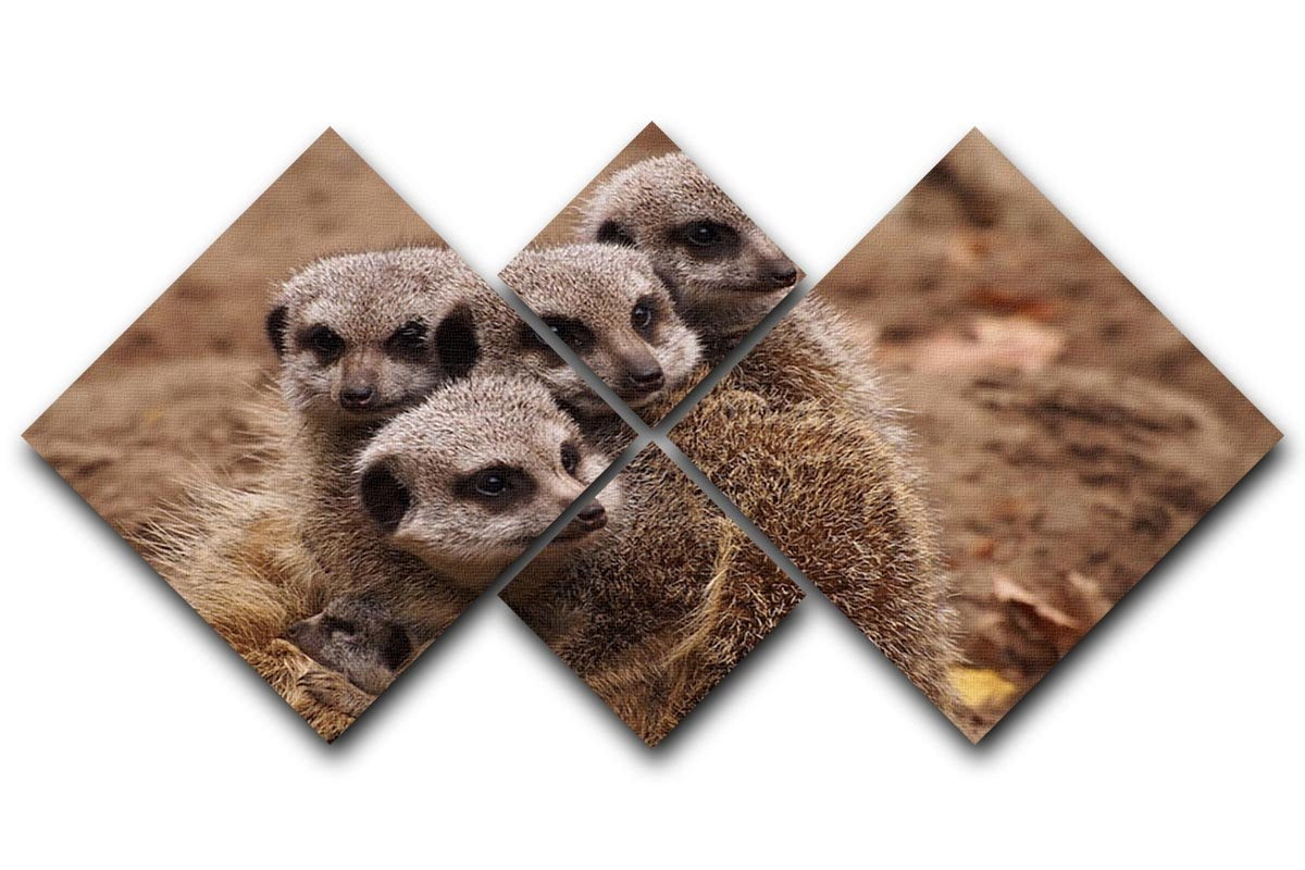Meerkat family 4 Square Multi Panel Canvas - Canvas Art Rocks - 1