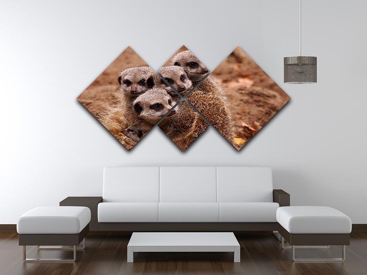 Meerkat family 4 Square Multi Panel Canvas - Canvas Art Rocks - 3