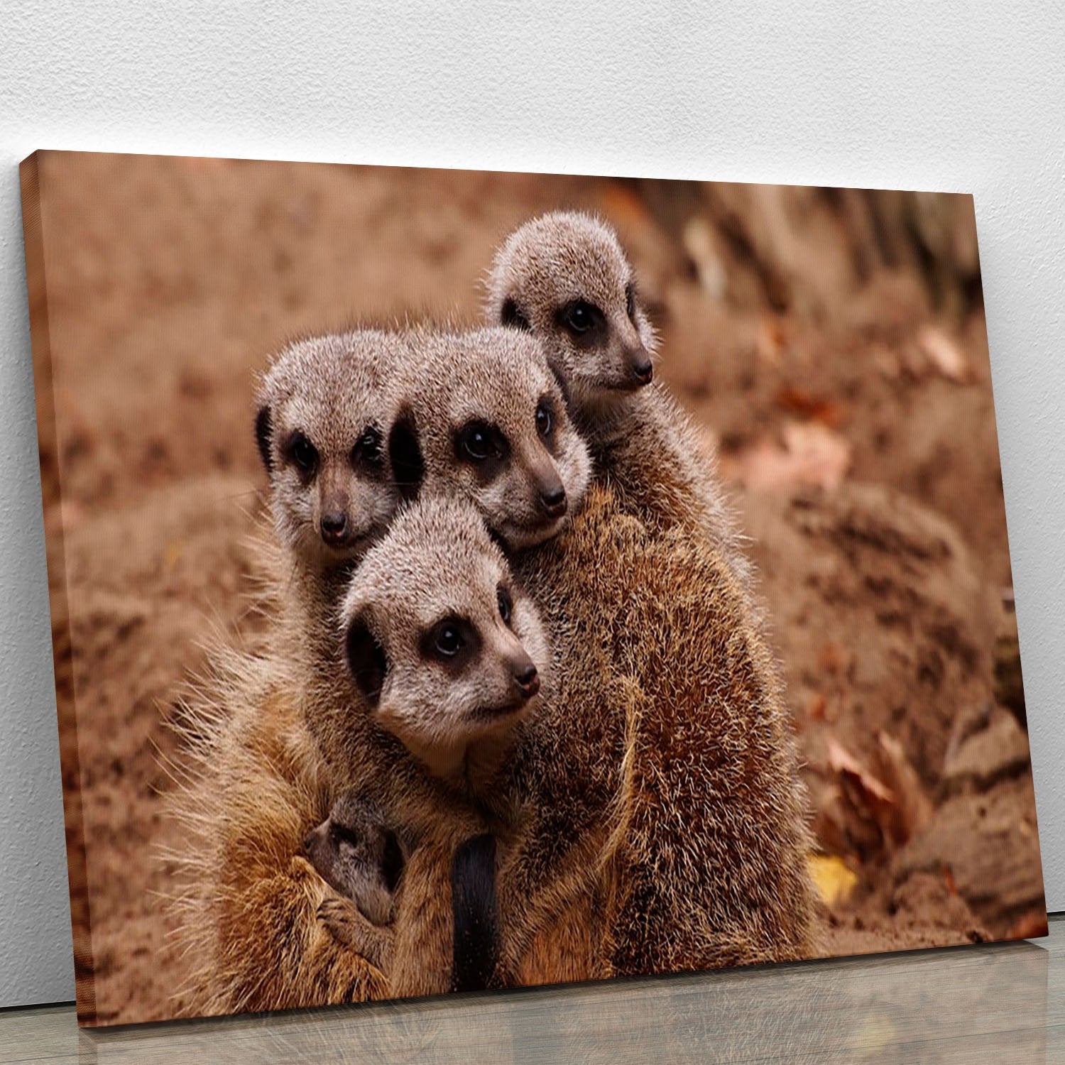 Meerkat family Canvas Print or Poster