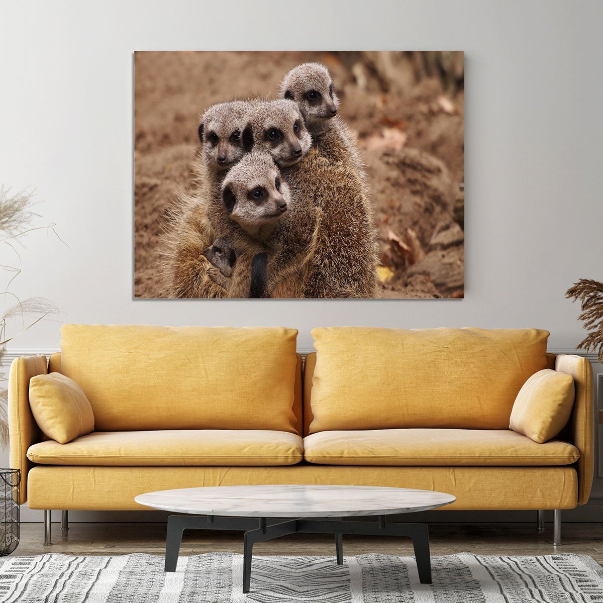 Meerkat family Canvas Print or Poster