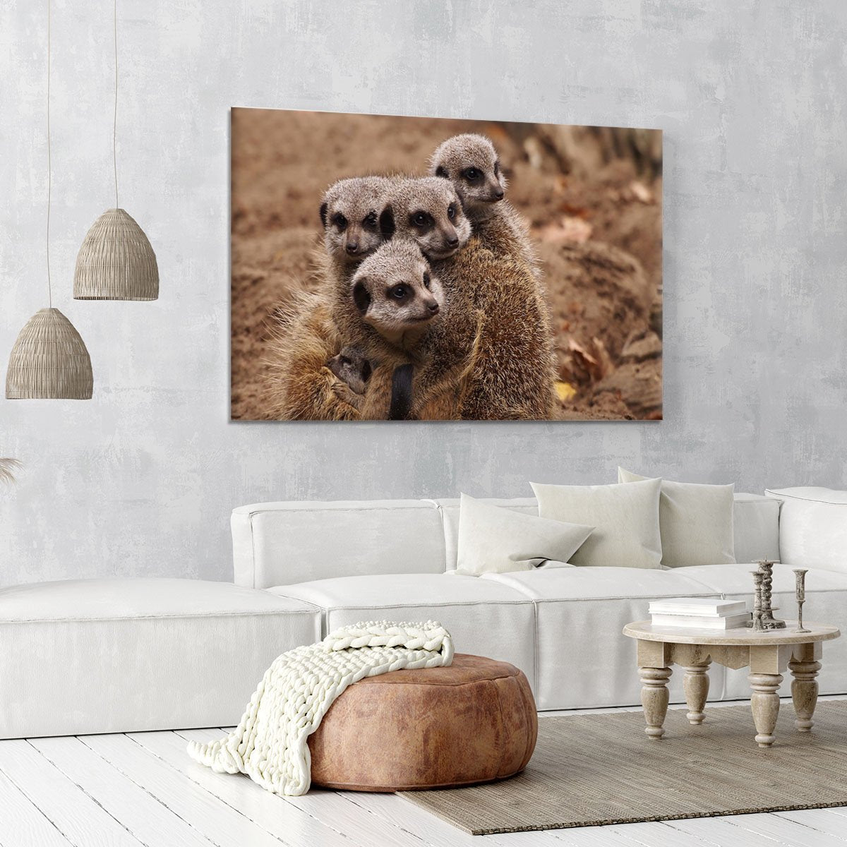 Meerkat family Canvas Print or Poster