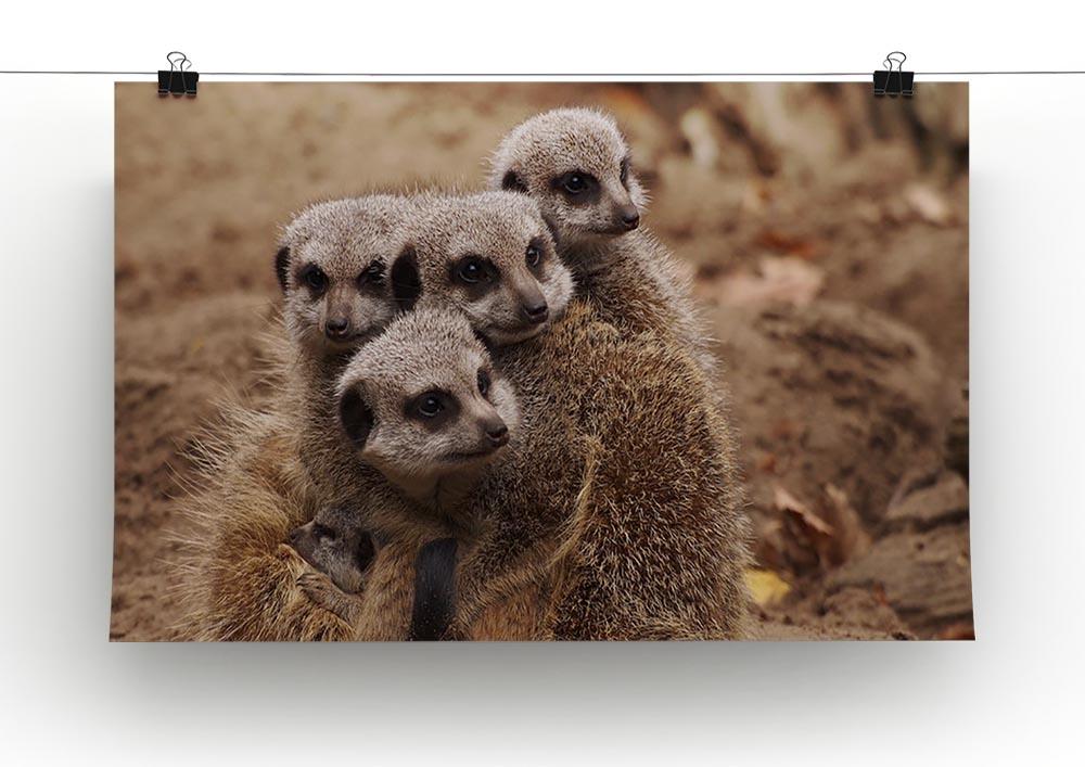Meerkat family Canvas Print or Poster - Canvas Art Rocks - 2
