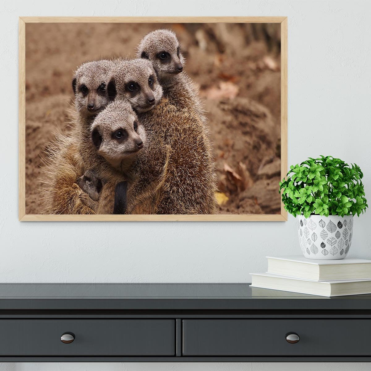 Meerkat family Framed Print - Canvas Art Rocks - 4