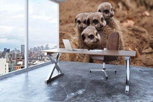 Meerkat family Wall Mural Wallpaper - Canvas Art Rocks - 3