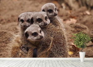 Meerkat family Wall Mural Wallpaper - Canvas Art Rocks - 4