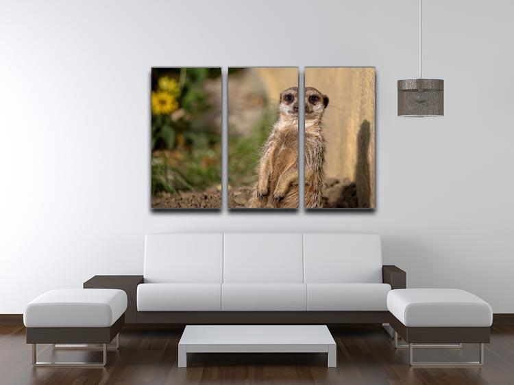 Meerkat in the wild portrait 3 Split Panel Canvas Print - Canvas Art Rocks - 3