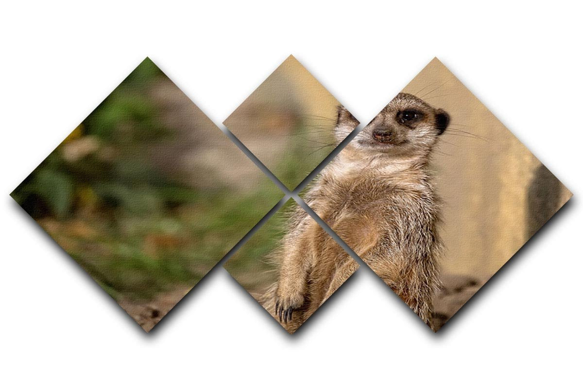Meerkat in the wild portrait 4 Square Multi Panel Canvas - Canvas Art Rocks - 1