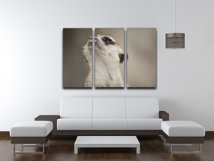 Meerkat looking up 3 Split Panel Canvas Print - Canvas Art Rocks - 3