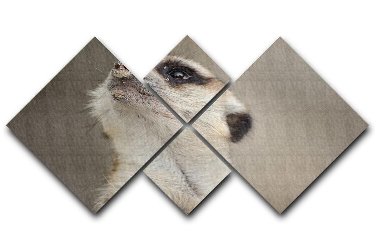 Meerkat looking up 4 Square Multi Panel Canvas - Canvas Art Rocks - 1