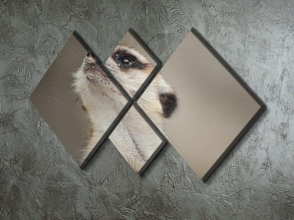 Meerkat looking up 4 Square Multi Panel Canvas - Canvas Art Rocks - 2