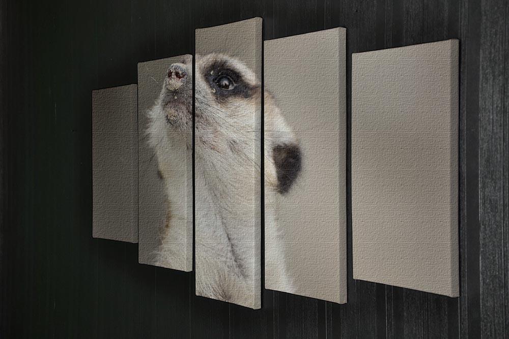 Meerkat looking up 5 Split Panel Canvas - Canvas Art Rocks - 2