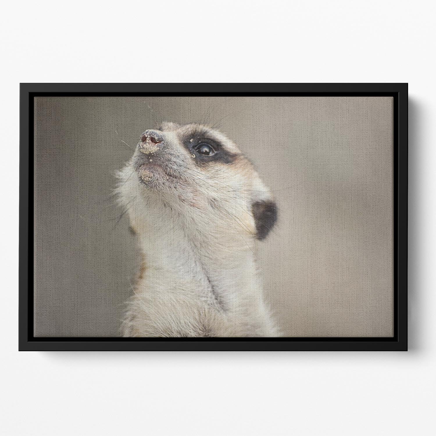 Meerkat looking up Floating Framed Canvas - Canvas Art Rocks - 2