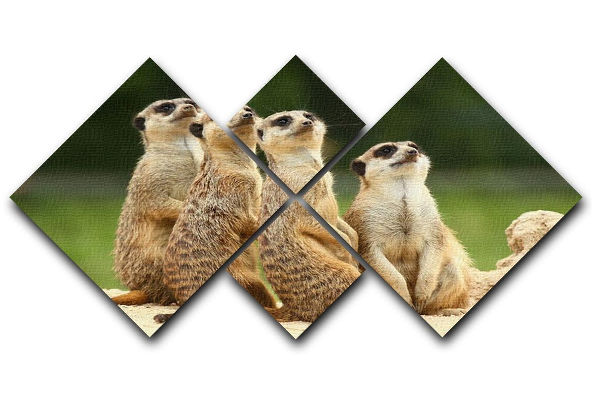 Meerkats Suricata all sit together 4 Square Multi Panel Canvas - Canvas Art Rocks - 1