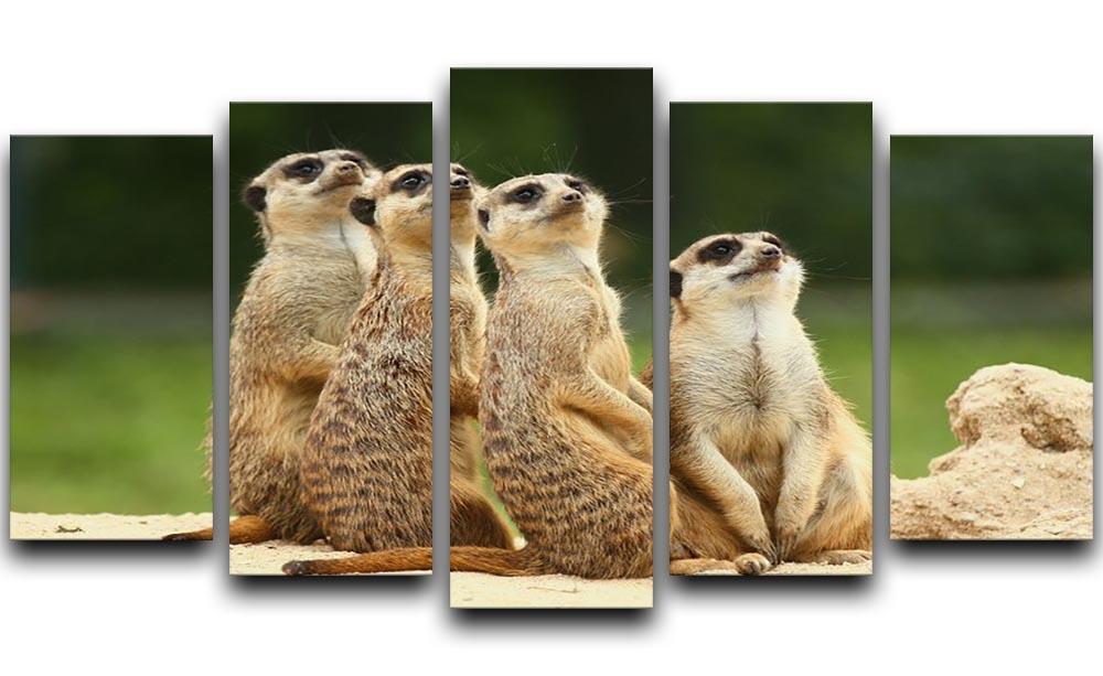 Meerkats Suricata all sit together 5 Split Panel Canvas - Canvas Art Rocks - 1