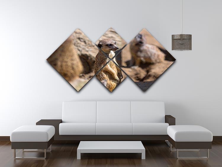 Meerkats in the wild 4 Square Multi Panel Canvas - Canvas Art Rocks - 3
