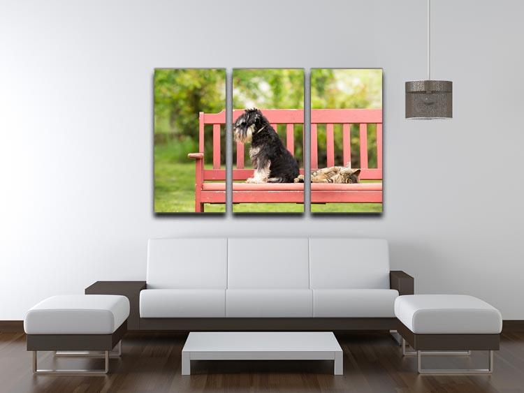 Miniature schnauzer turned back to its cat friend 3 Split Panel Canvas Print - Canvas Art Rocks - 3
