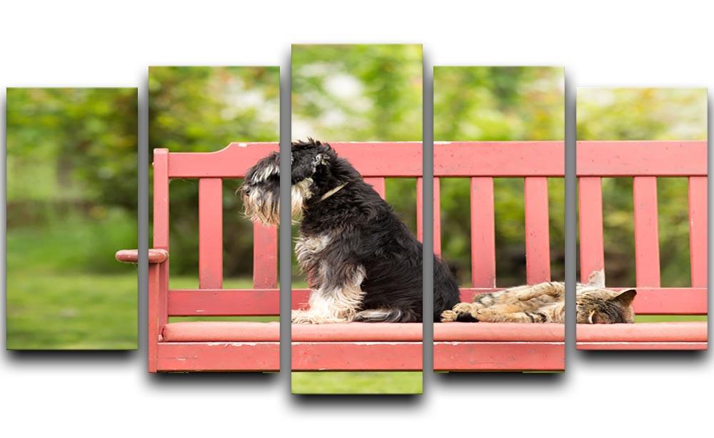 Miniature schnauzer turned back to its cat friend 5 Split Panel Canvas - Canvas Art Rocks - 1