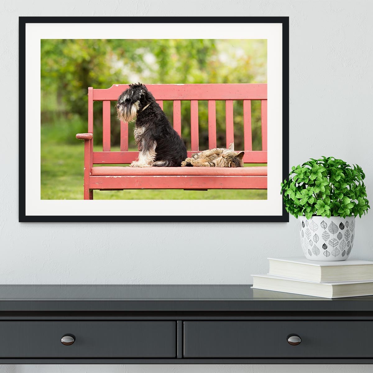 Miniature schnauzer turned back to its cat friend Framed Print - Canvas Art Rocks - 1