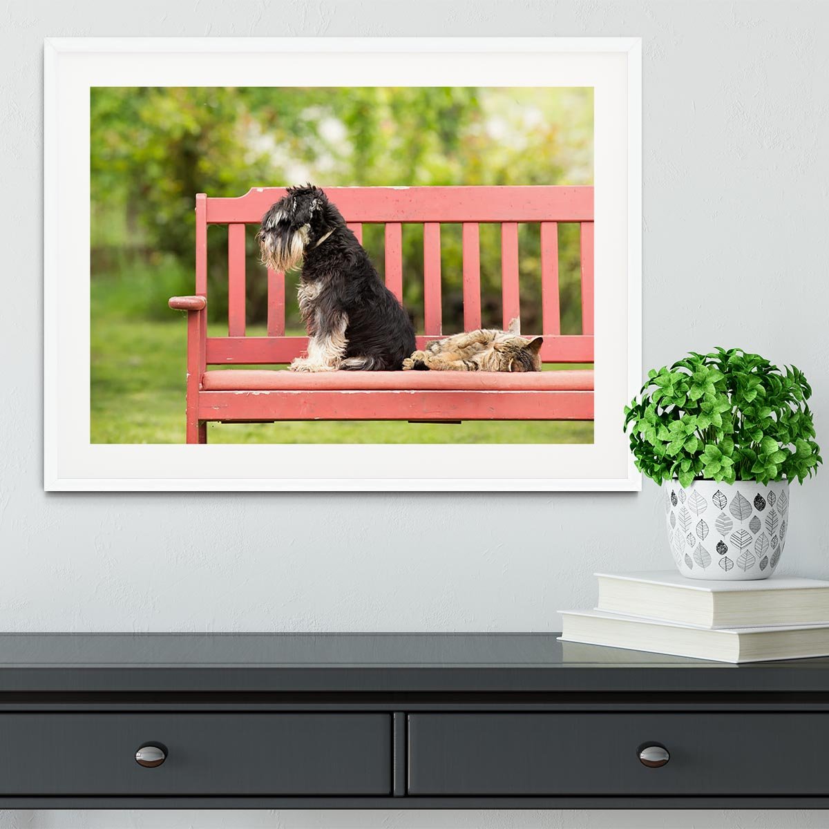 Miniature schnauzer turned back to its cat friend Framed Print - Canvas Art Rocks - 5