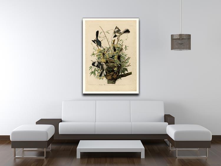 Mocking Bird by Audubon Canvas Print or Poster - Canvas Art Rocks - 4