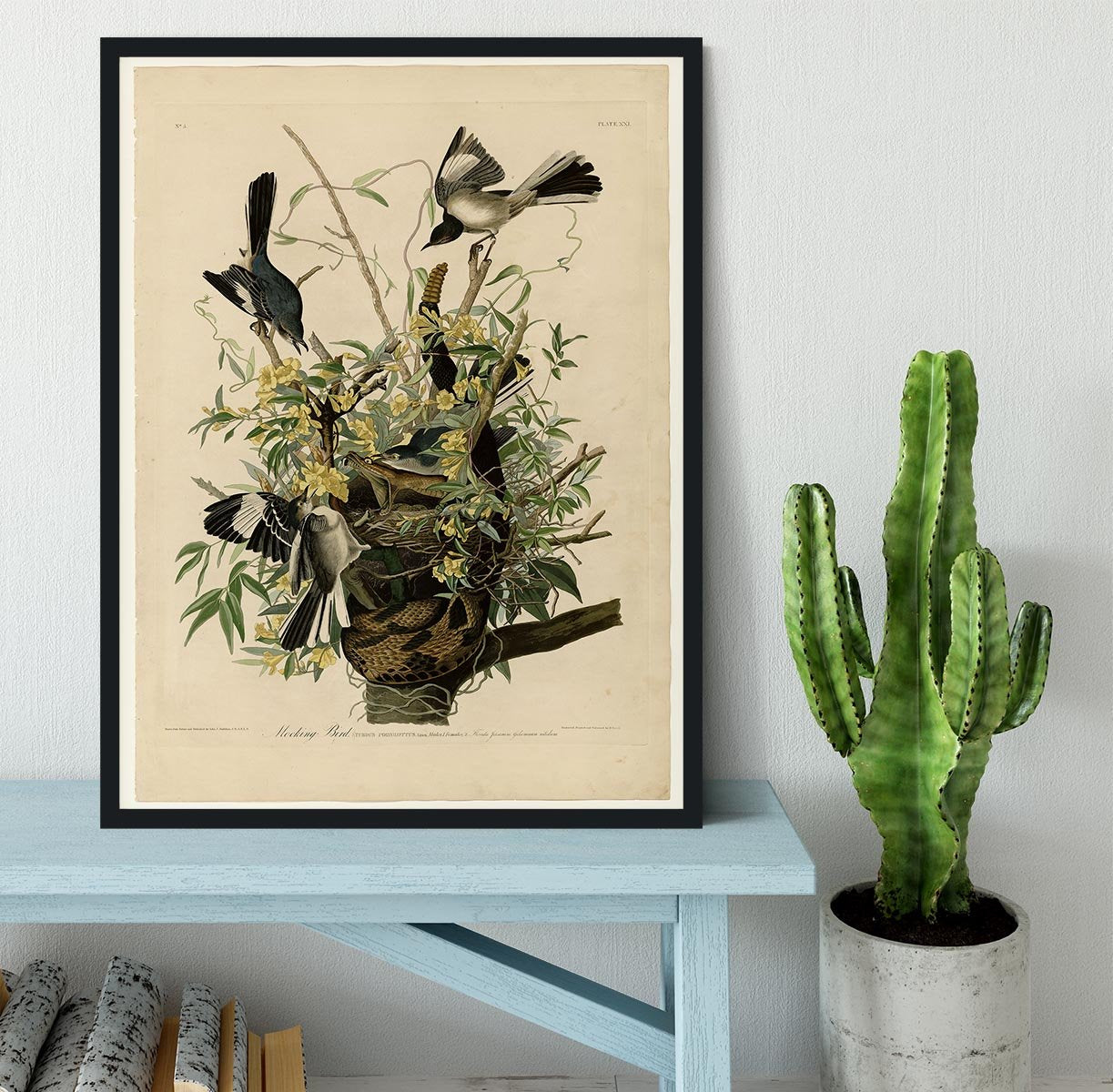 Mocking Bird by Audubon Framed Print - Canvas Art Rocks - 2