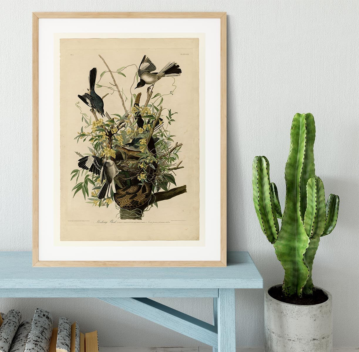 Mocking Bird by Audubon Framed Print - Canvas Art Rocks - 3