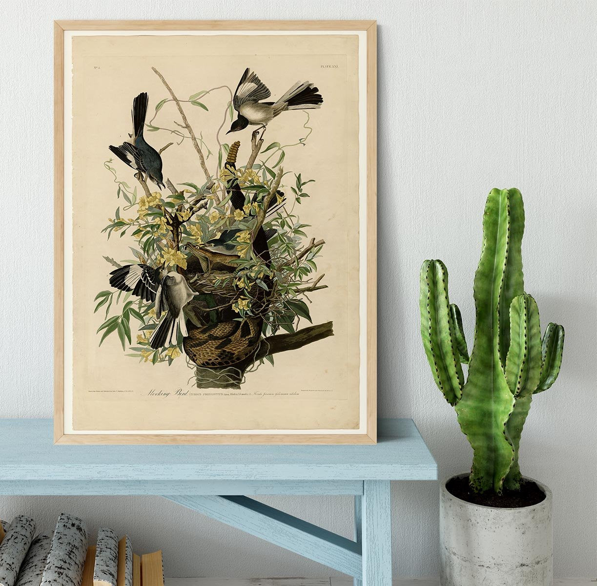 Mocking Bird by Audubon Framed Print - Canvas Art Rocks - 4