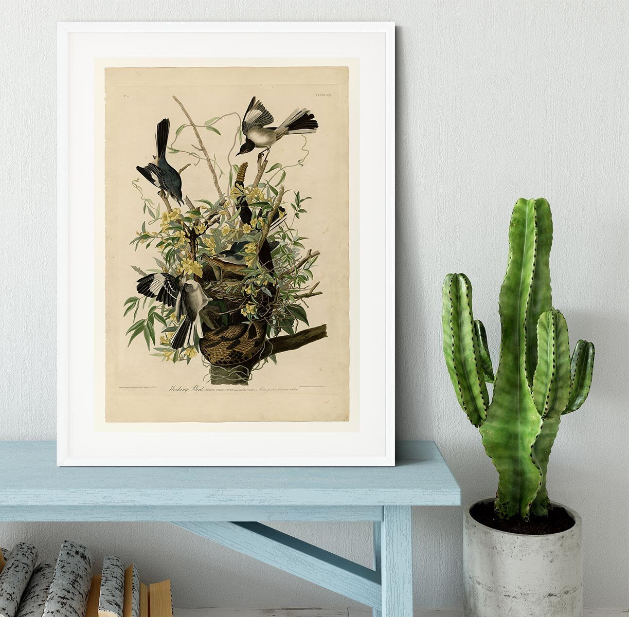 Mocking Bird by Audubon Framed Print - Canvas Art Rocks - 5