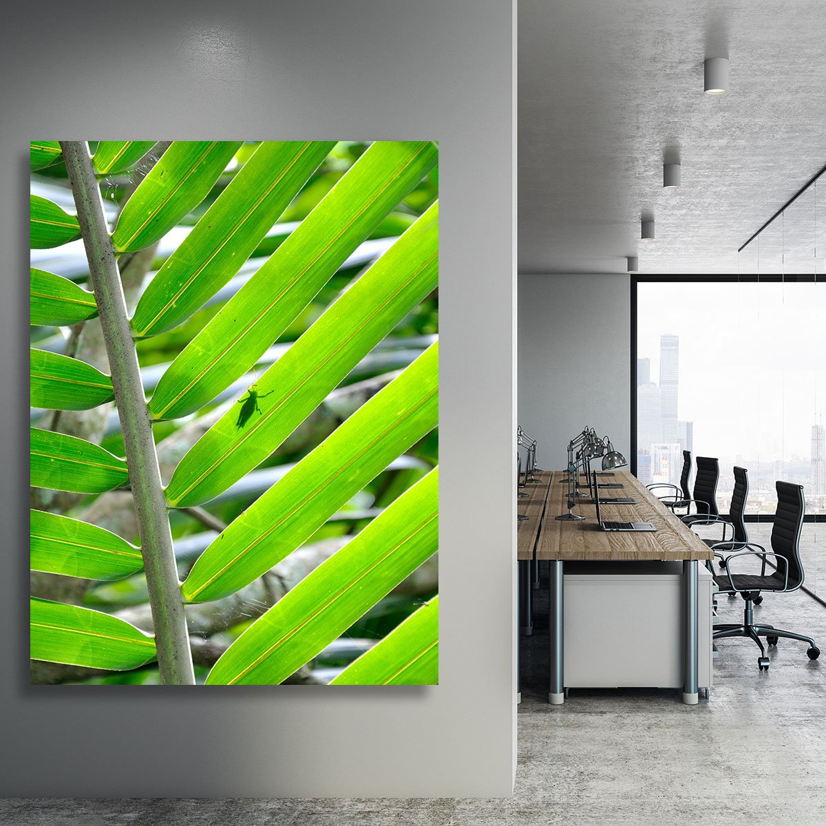Morning In The Forest Canvas Print or Poster