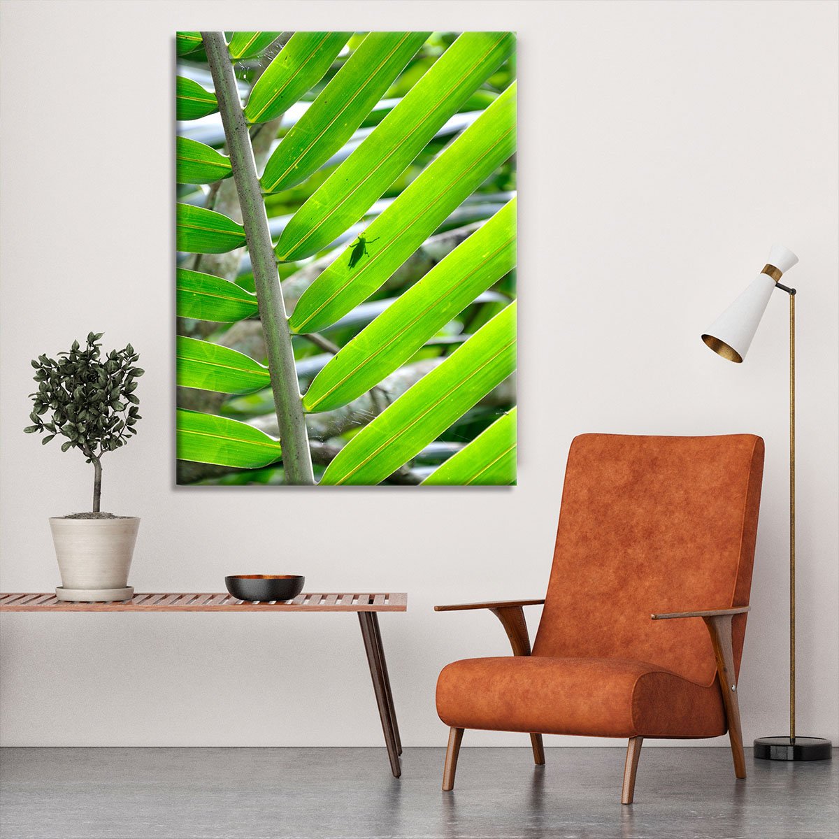 Morning In The Forest Canvas Print or Poster