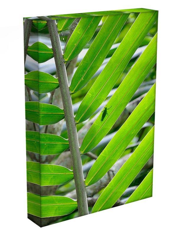 Morning in the forest Canvas Print or Poster - Canvas Art Rocks - 3