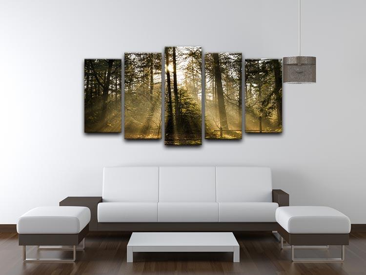 Morning sun in the forrest 5 Split Panel Canvas  - Canvas Art Rocks - 3