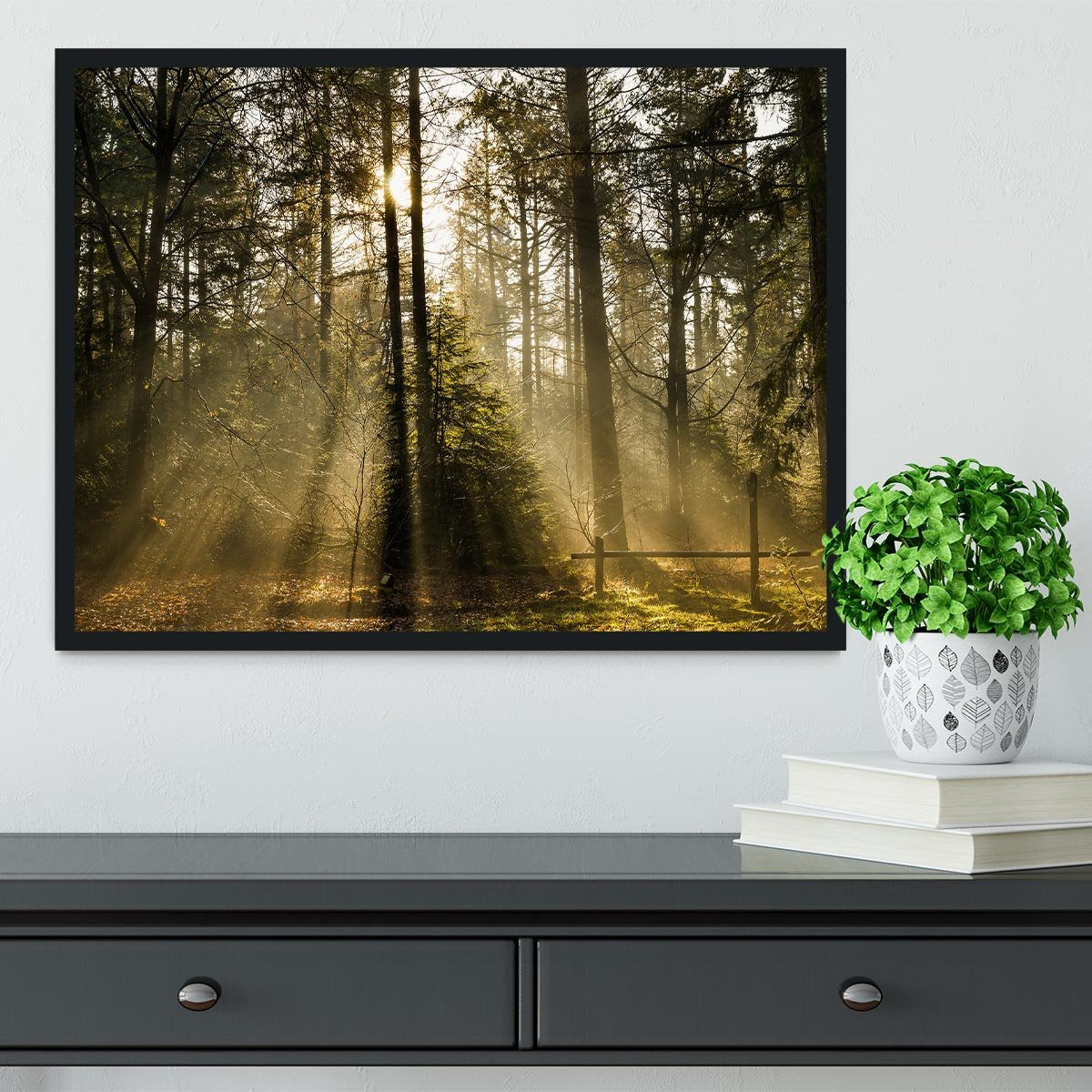 Morning sun in the forrest Framed Print - Canvas Art Rocks - 2