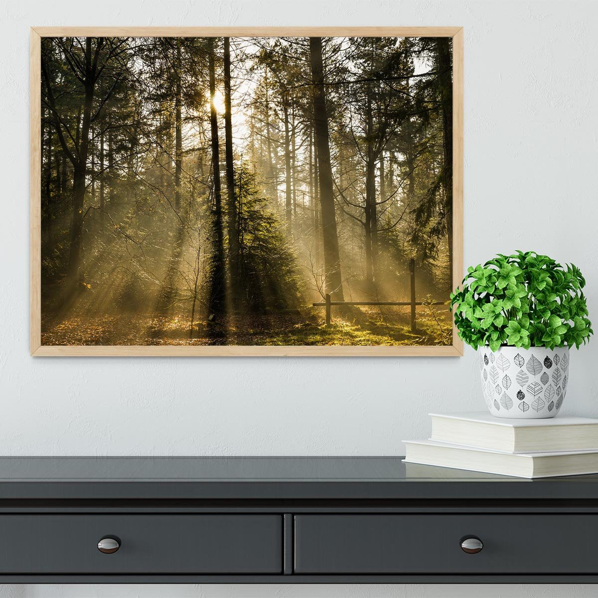 Morning sun in the forrest Framed Print - Canvas Art Rocks - 4