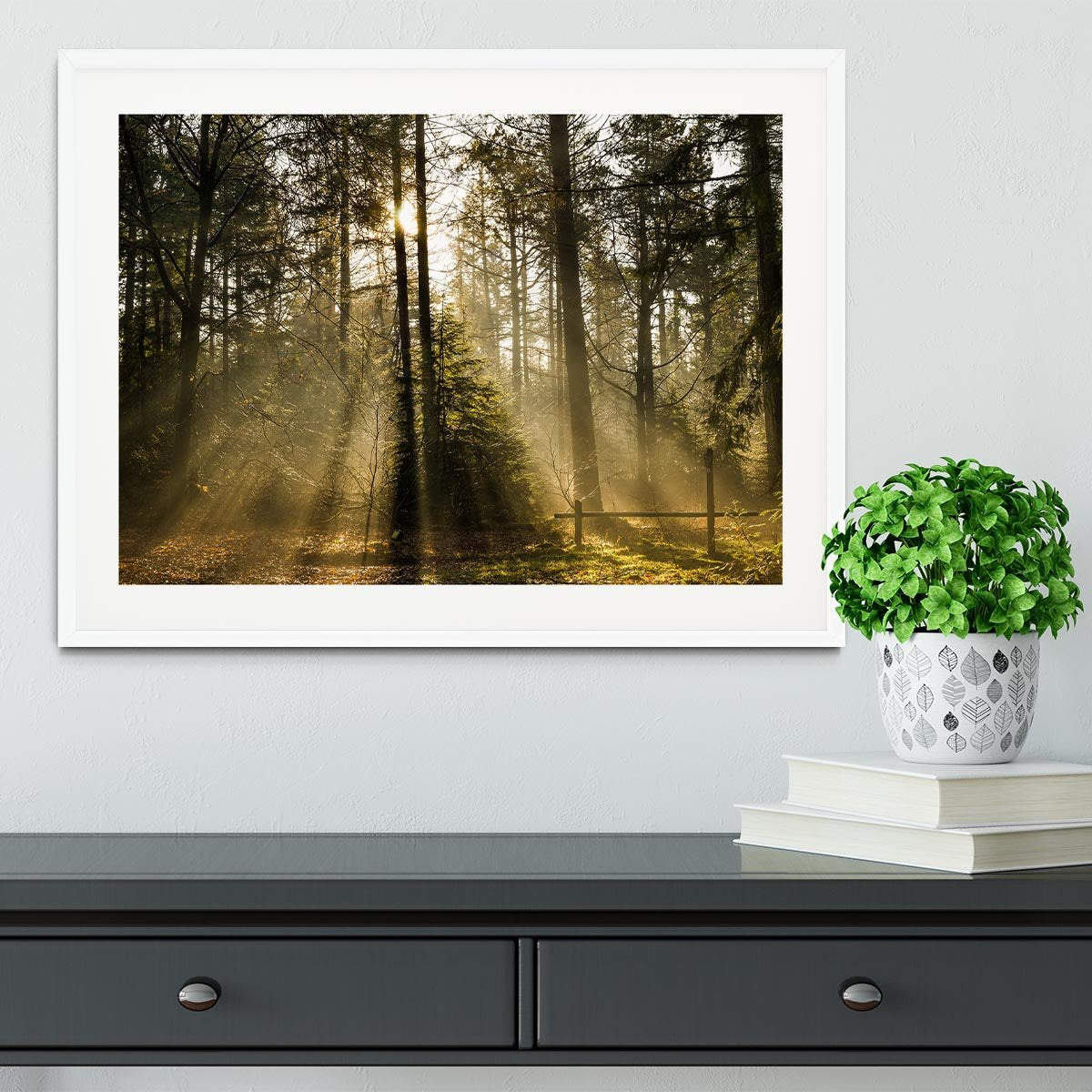 Morning sun in the forrest Framed Print - Canvas Art Rocks - 5