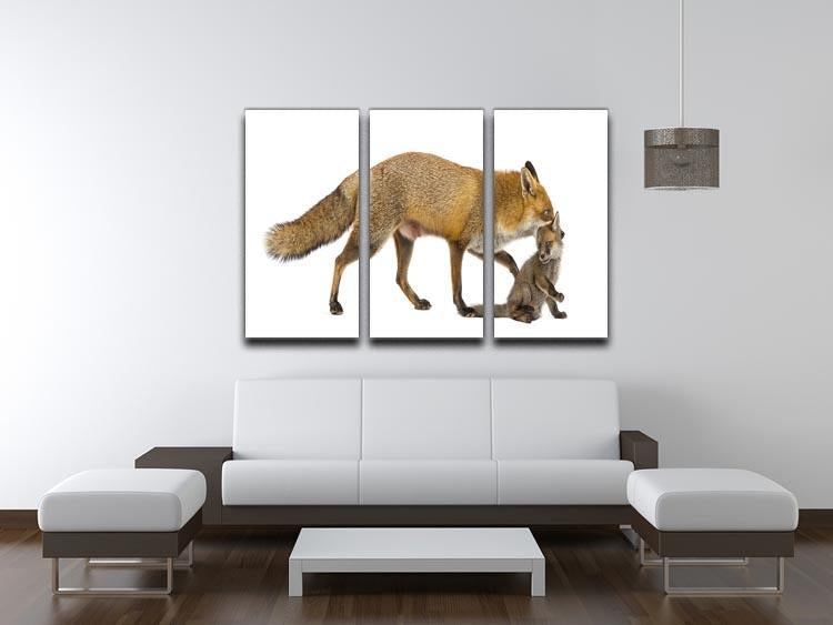 Mother fox carrying her cub 3 Split Panel Canvas Print - Canvas Art Rocks - 3