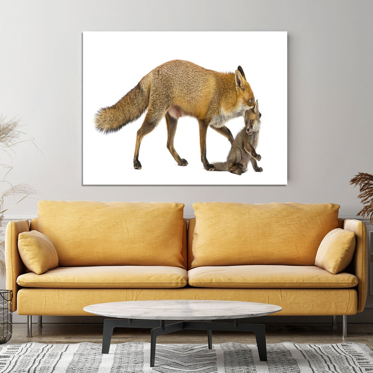 Mother fox carrying her cub Canvas Print or Poster