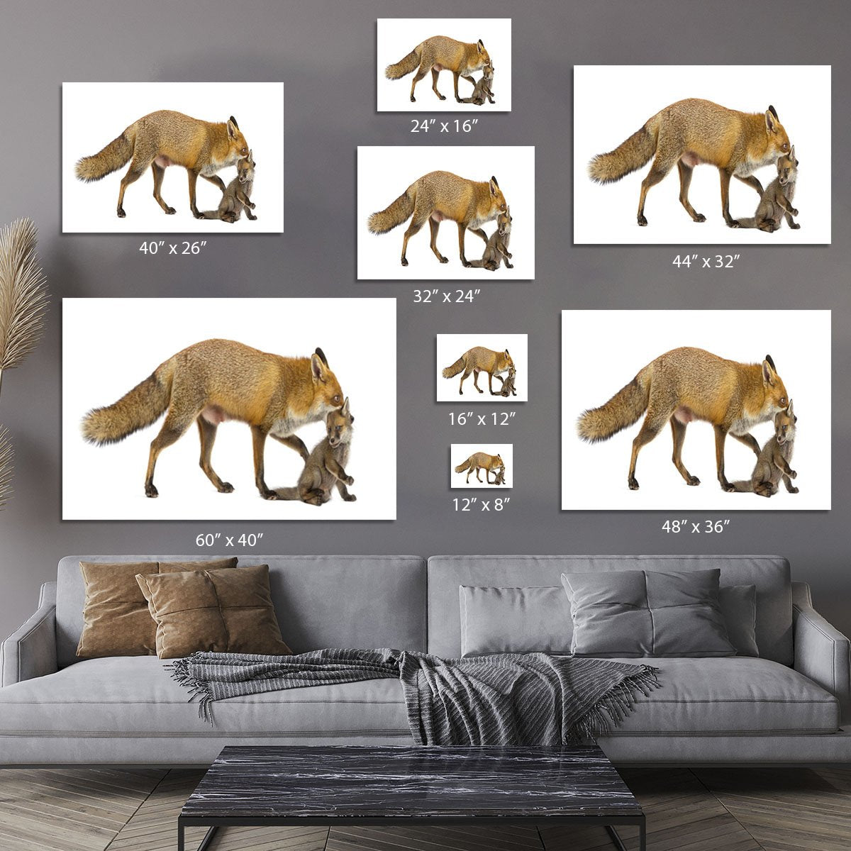 Mother fox carrying her cub Canvas Print or Poster