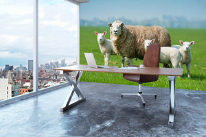 Mother sheep and her lambs in spring Wall Mural Wallpaper - Canvas Art Rocks - 3