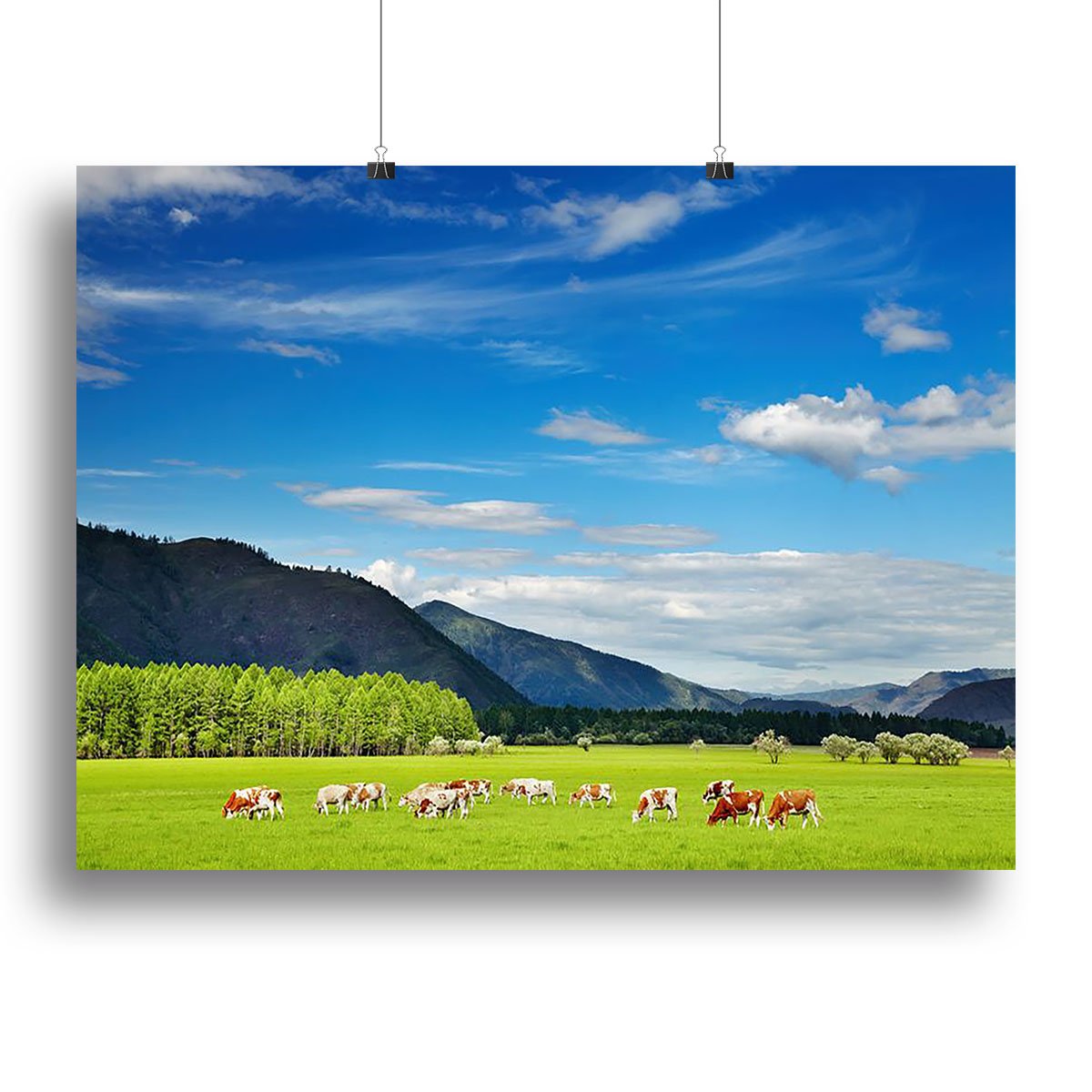 Mountain landscape with grazing cows and sky Canvas Print or Poster