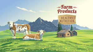 Mountain landscape with two cows Wall Mural Wallpaper - Canvas Art Rocks - 1