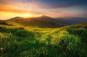 Mountain valley during sunrise Wall Mural Wallpaper - Canvas Art Rocks - 1