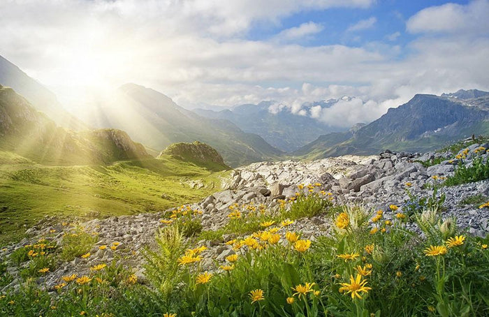 Mountains landscape in Vorarlberg Wall Mural Wallpaper