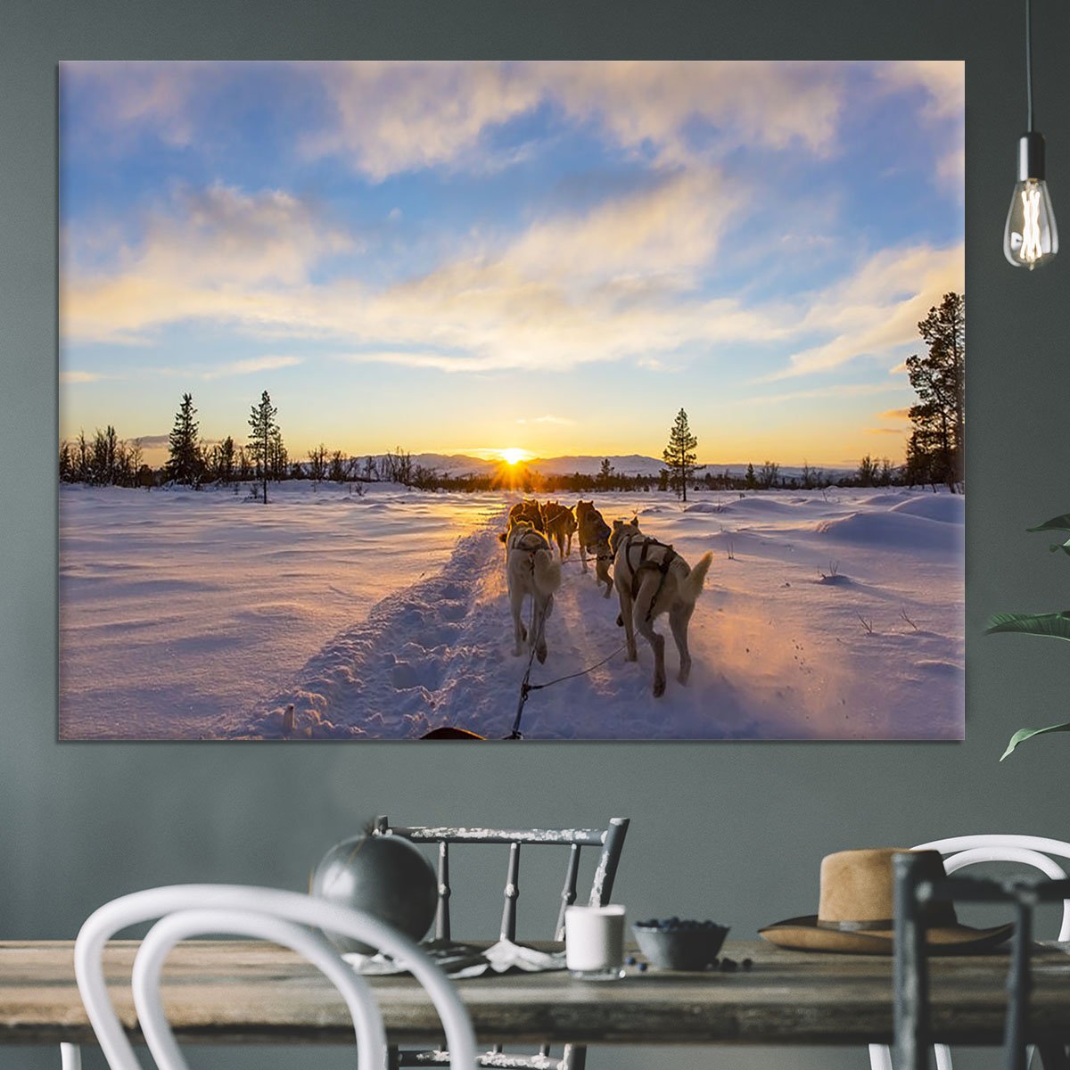 Musher and passenger in a dog sleigh with huskies a cold winter evening Canvas Print or Poster