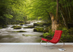 National Park foggy Tremont River Wall Mural Wallpaper - Canvas Art Rocks - 2