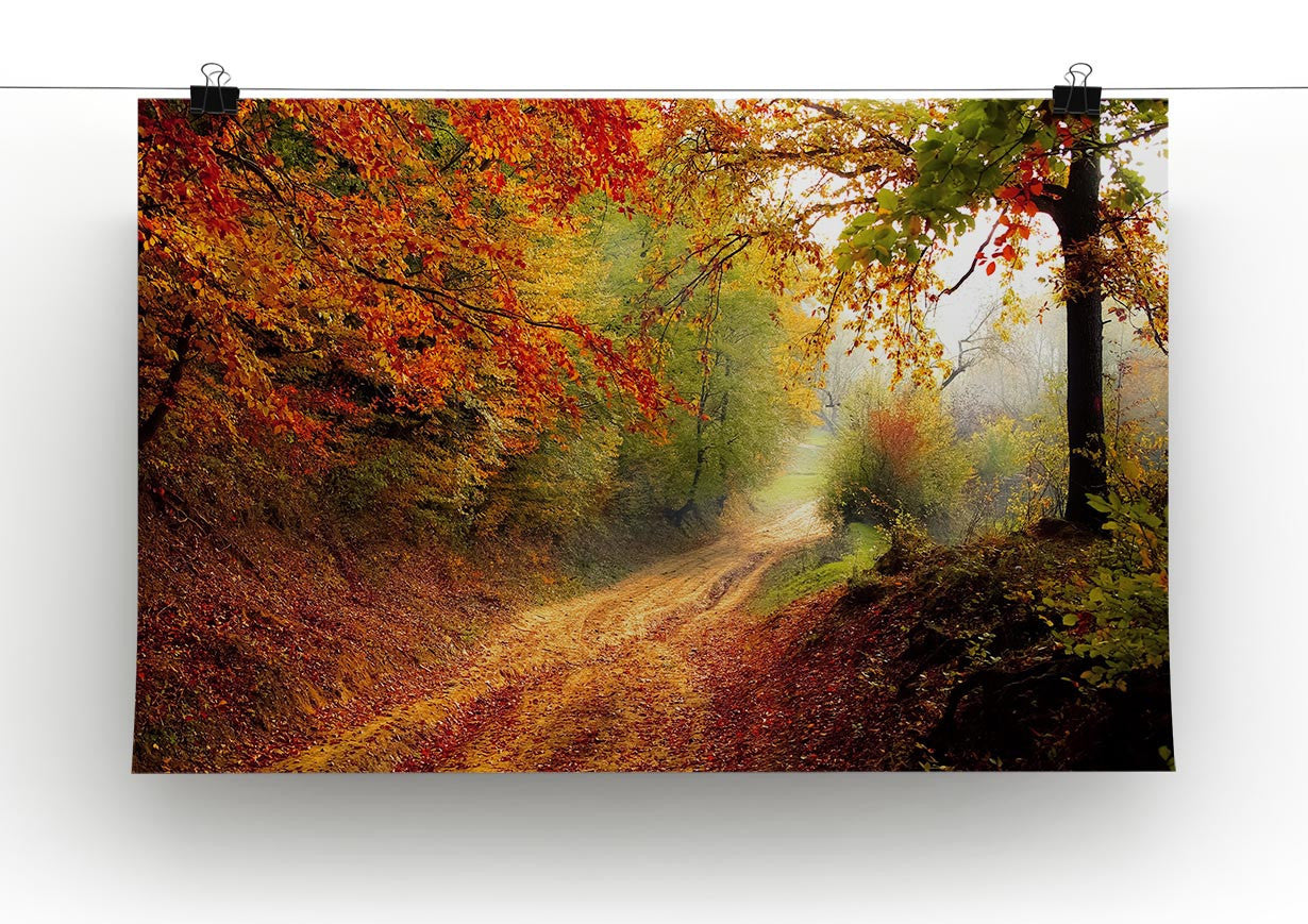 Natural Road Print - Canvas Art Rocks - 2