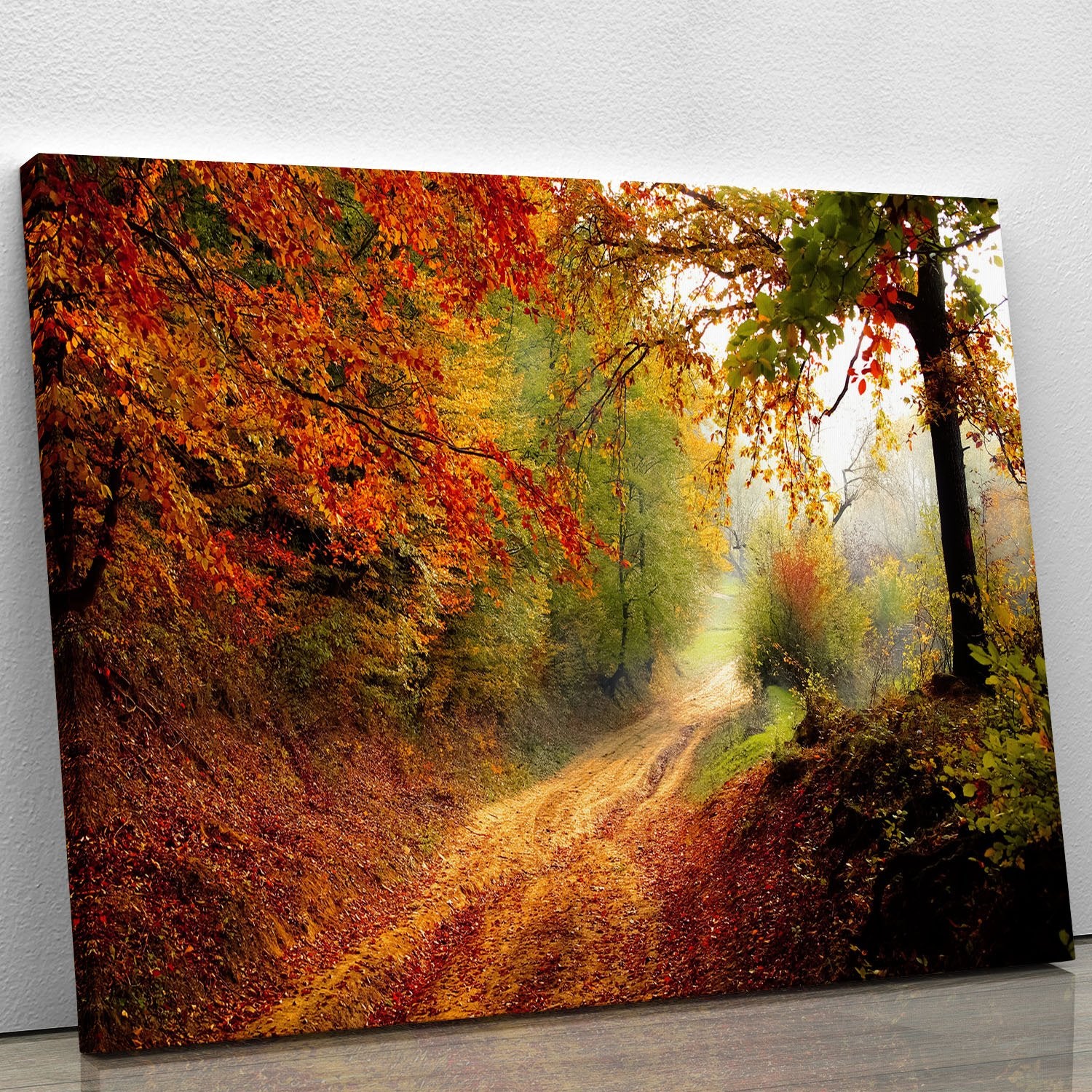 Natural Road Canvas Print or Poster