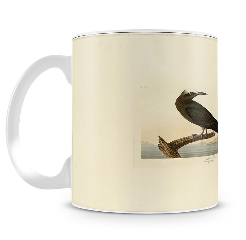 Noddy Tern by Audubon Mug - Canvas Art Rocks - 1