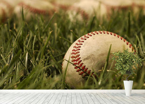Nostalgic baseballs in the grass Wall Mural Wallpaper - Canvas Art Rocks - 4